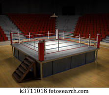 אגרוף, אצטדיון