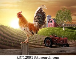 ארץ, חוה, בוקר