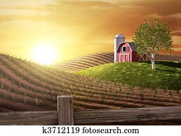 בוקר, על החוה