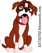 boxer boxer