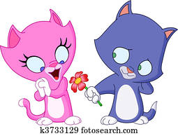 gatinhos, apaixonadas