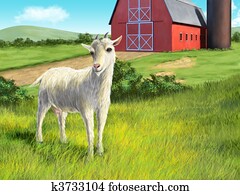 Goat and farm Goat and farm