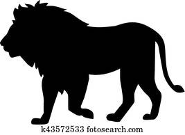 Lion walking Lion walking