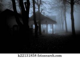 Misty Forest Misty Forest