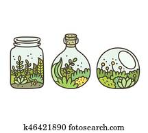 Plant in terrariums Plant in terrariums