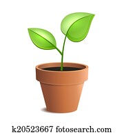 Young Green Plant in Pot Isolated on the White Backgrounds. Vector