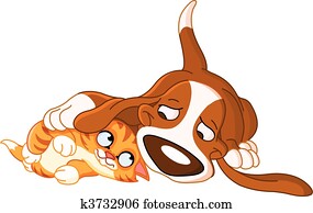 개, 와..., 고양이