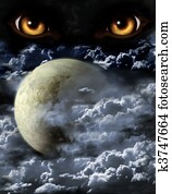 Full moon Full moon