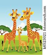 giraffe, familie giraffe, familie