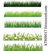 Grass Grass