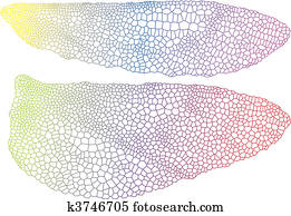 inseto, asas, com, delicado, textura