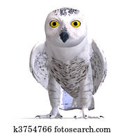 Snowy Owl Bird. 3D rendering with clipping path and shadow over white Snowy Owl Bird. 3D rendering with clipping path and shadow over white