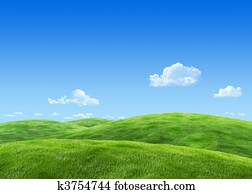 Very detailed 7000px field template - nature collection