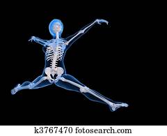 ballet dancer ballet dancer