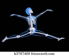 ballet dancer ballet dancer
