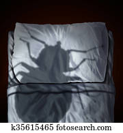 Bed Bug Fear Bed Bug Fear
