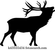 Belling Deer Belling Deer