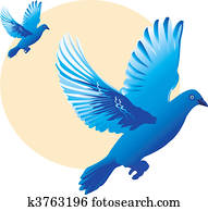 Bird Bird