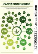 cannabinoid, כוון, זקוף, infographic