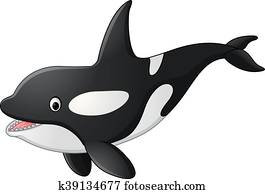 Cute killer whale cartoon Cute killer whale cartoon