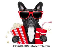 dog to the movies dog to the movies