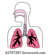 Human Respiratory System Diagram