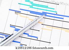 Project management Project management