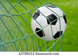 Soccer goal! Soccer goal!
