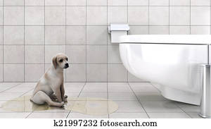bathroom with dog bathroom with dog