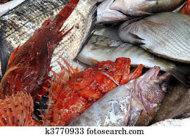 fish market