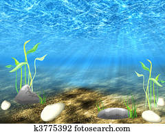 The underwater world The underwater world