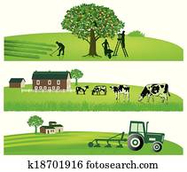 agricultura, e, jardim