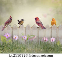 Birds on the Fence Birds on the Fence