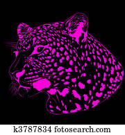Leopard Leopard
