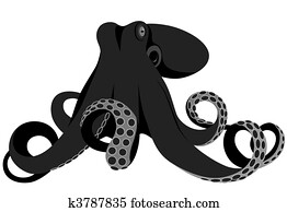 Octopus Octopus