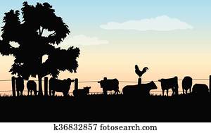 ranch, silhouetten ranch, silhouetten