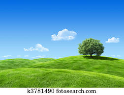 Very detailed 7000px tree on lea template - nature collection Very detailed 7000px tree on lea template - nature collection