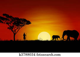 אפריקני, שקיעה