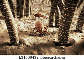 3d, render, de, pó, mite., alergia, casa, higiene, cama