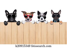 groß, reihe, von, hunde