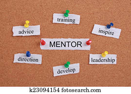 Mentor Concept