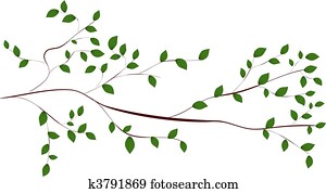 tree branch tree branch