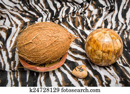 African coconut