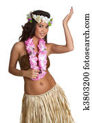 Hawaiian Hula Dancer Girl Hawaiian Hula Dancer Girl