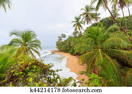 idyllic, praia, manzanillo, costa rica