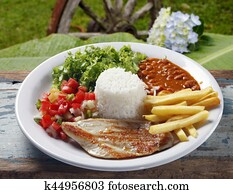 rice, beans, meat, chips and salad rice, beans, meat, chips and salad