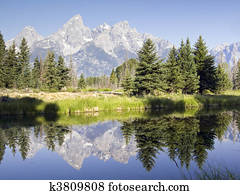 Teton Reflections
