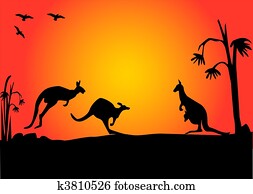 3, קנגורו, שקיעה