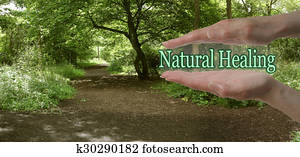 The Path To Natural Healing The Path To Natural Healing
