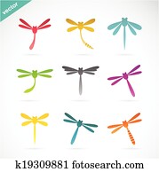 Vector group of colorful dragonfly Vector group of colorful dragonfly